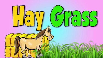 Horses for Kids - Horse Song Nursery Rhymes by Blippi