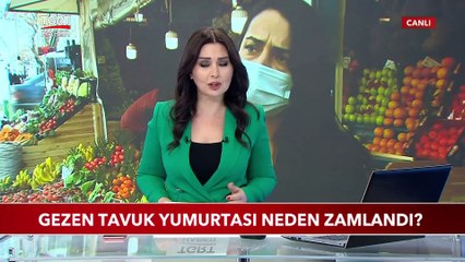 Gezen Tavuk Yumurtası Neden Zamlandı?