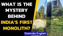 Monolith mystery solved, who placed the monolith in a garden in Ahmedabad: Watch | Oneindia News