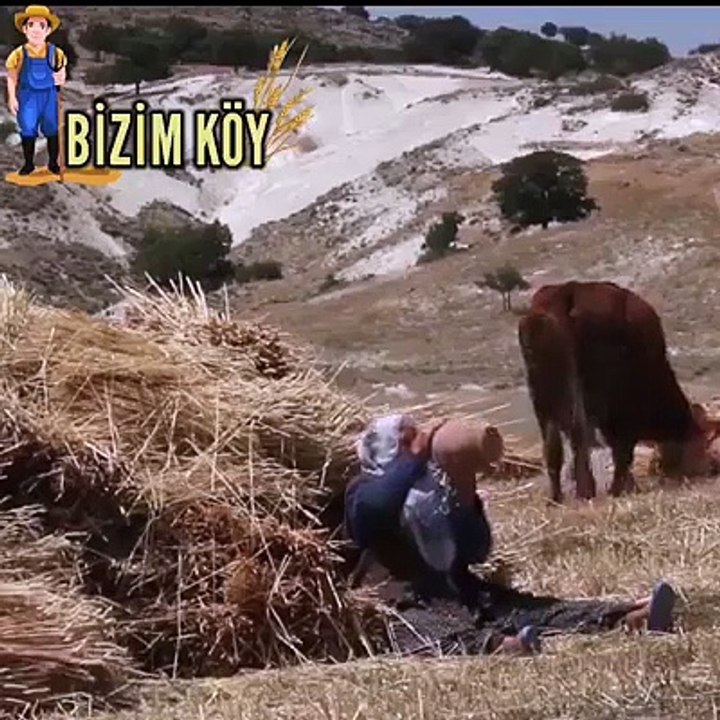 anam anam garip anam