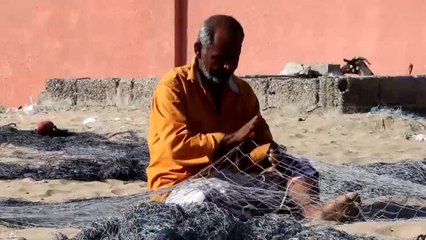 بعد توقف المواجهات.. عودة عشرات الأسر اليمنية لمنطقتي الشيخ سالم والطرية