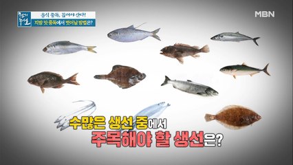 지방 맛 중독에서 벗어날 방법. 은빛 생선에 있다??