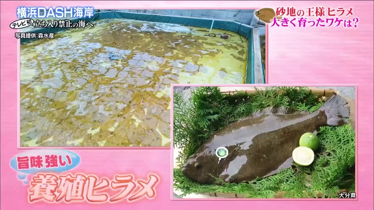▼スタジオに入るといき 2021年1月1日