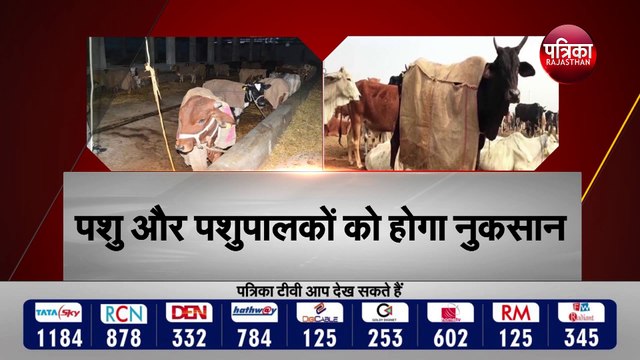 जरा सी लापरवाही पशुओं पर पड़ सकती है भारी