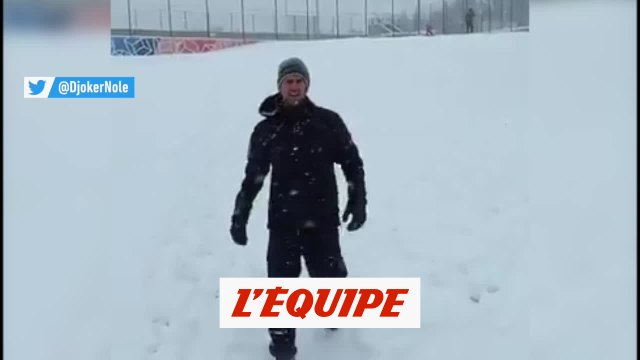 Djokovic, le Rocky des neiges - Tennis - WTF