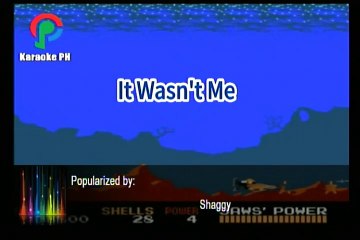 Shaggy It Wasn't Me Karaoke