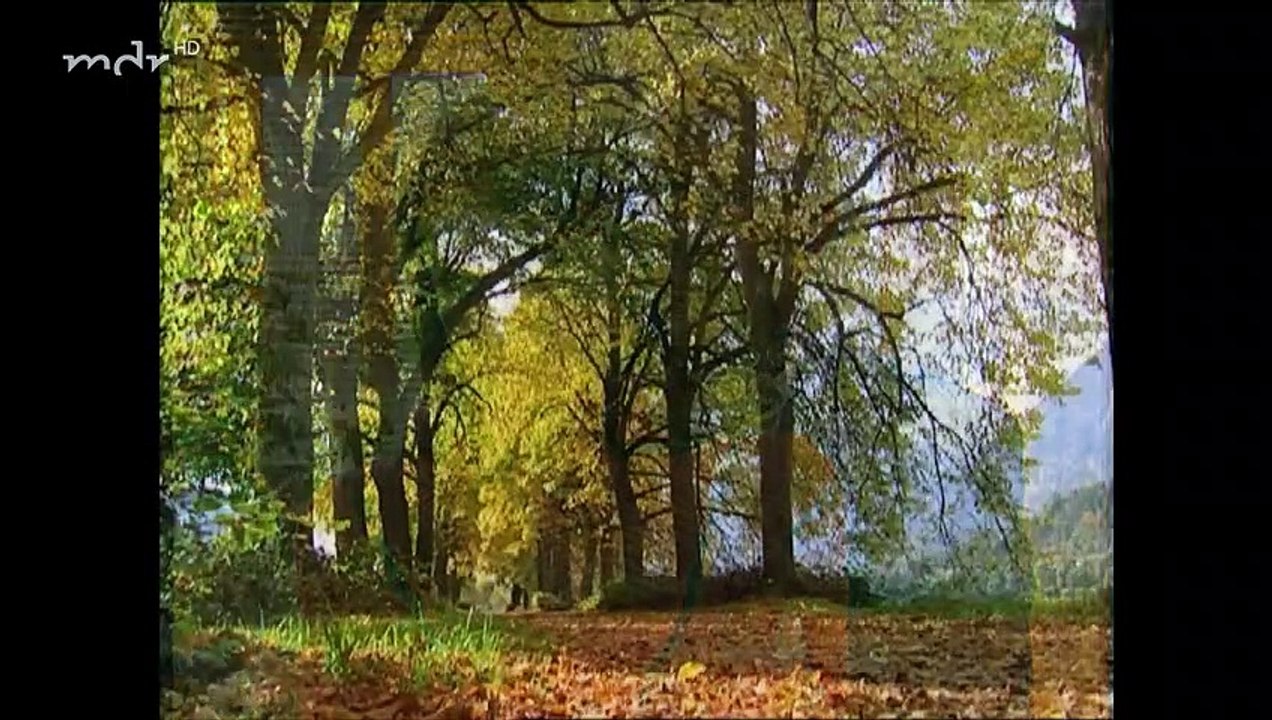 Sturm der Liebe Folge 289