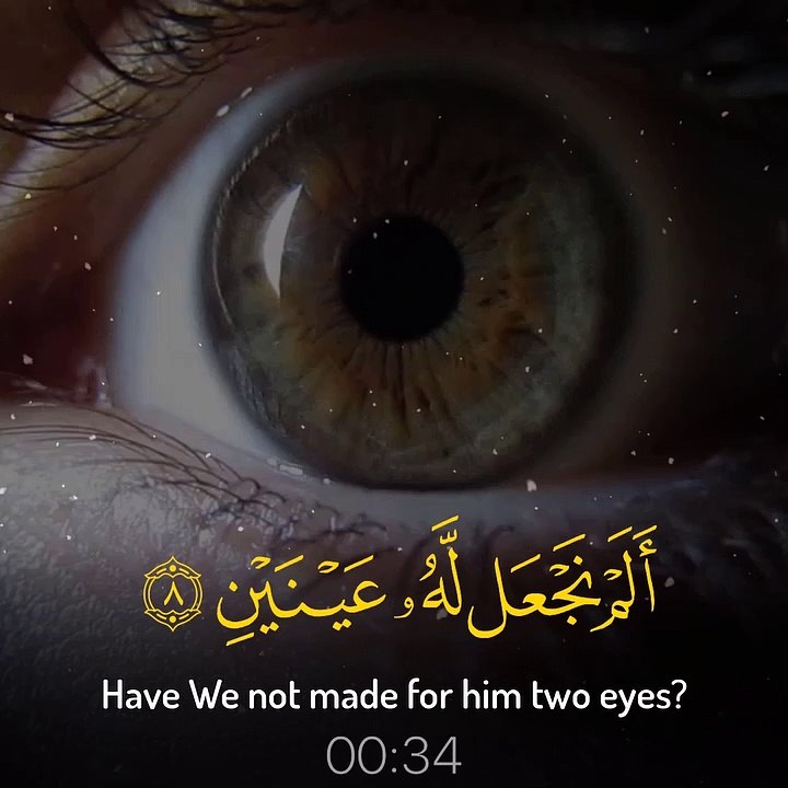 ألم نجعل له عينين - القارئ عبدالباسط عبدالصمد