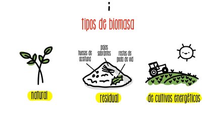 José Eustaquio Pérez con la Biomasa