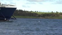 Llegan a Irlanda los primeros ferrys sujetos a las nuevas reglas comerciales