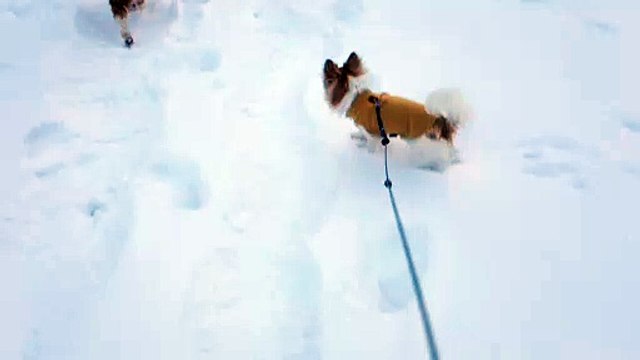 Promenade au Grand Bornand suite 3