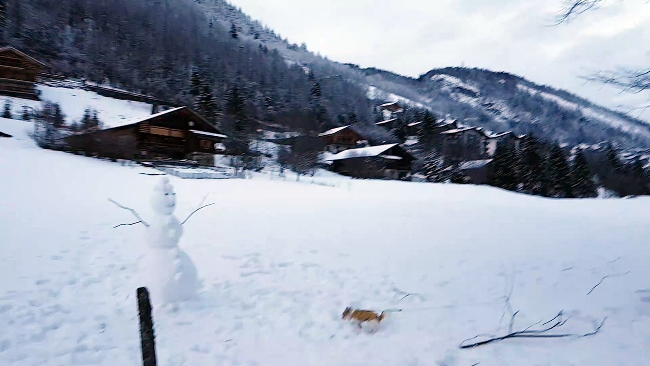 Promenade au Grand Bornand suite 1