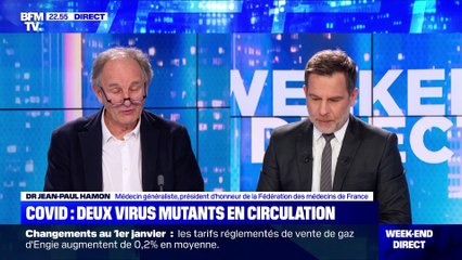 Covid-19 : deux virus mutants en circulation - 01/01