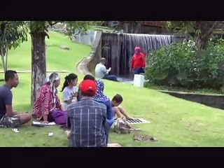 Wisata Alam Desa Sambangan, Buleleng, Bali