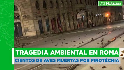 Tragedia ambiental en Roma por pirotecnia