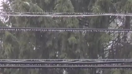 Freezing rain coats power lines in ice in Indiana