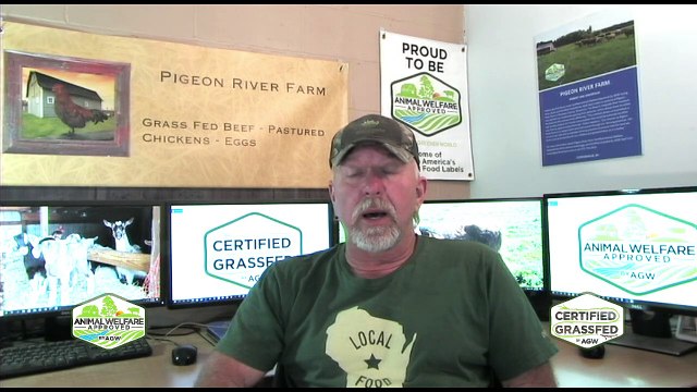 Deep Dive talk: what is A Greener World, Animal Welfare Approved Label all about part 1