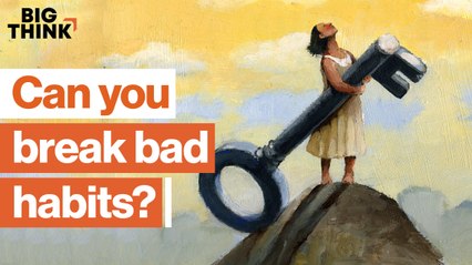 Habits: How to be successful every day