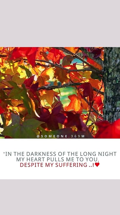 Relaxing Piano Music: Beautiful Sad Music, Soothing Music, Romantic Music, Stress Relief