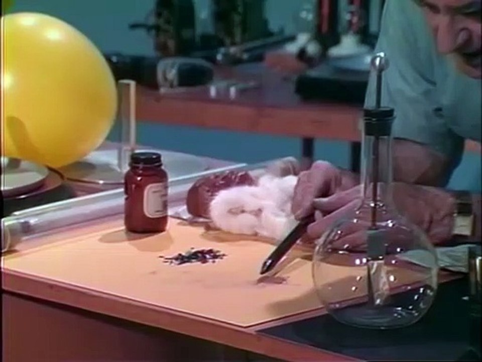 Lesson 38 - Electrostatic Phenomena (Electricity & Magnetism)
