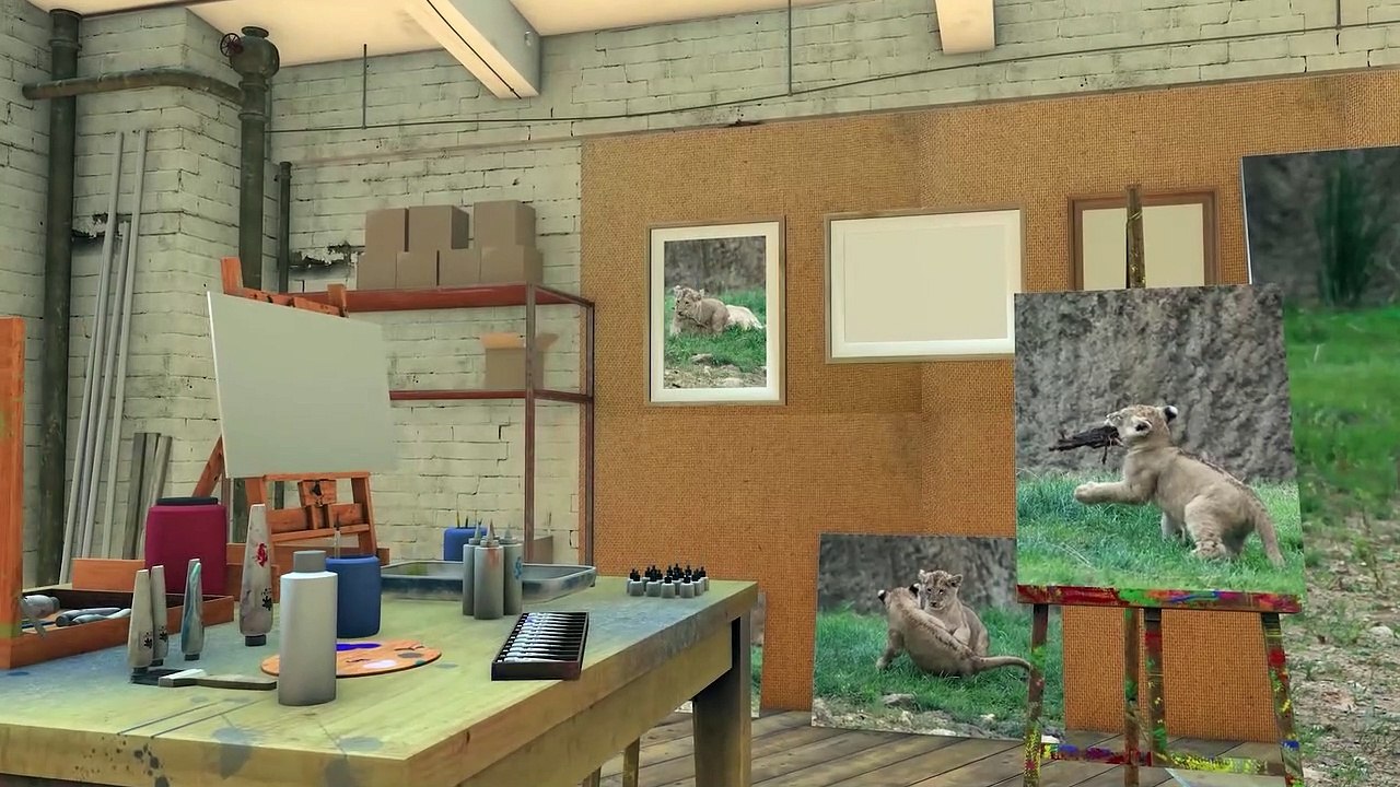 La terre des lions du ZooParc de Beauval. The land of the lions at Beauval ZooParc