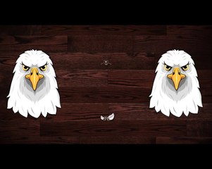 How to increase usb flash speed upto 150mb/s