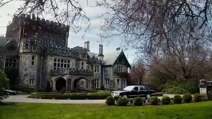 Arrow best scenes || Stephen Amell ||