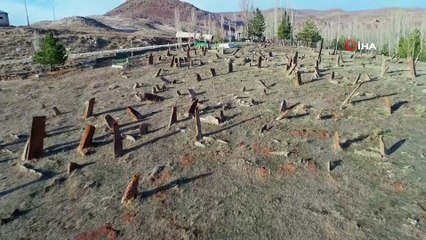 Uzunlukları insan boyunu aşıyor, her biri gökten düşmüş gibi