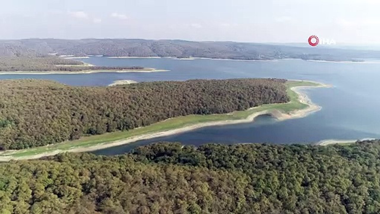Ömerli Barajında korkutan görüntü: Yavru balıklar ölüm tehlikesiyle karşı karşıya