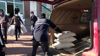 Konya Büyükşehir, sokağa çıkma kısıtlamasında sokak hayvanlarını unutmadı