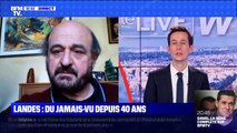 Landes: du jamais vu depuis 40 ans ! - 02/01