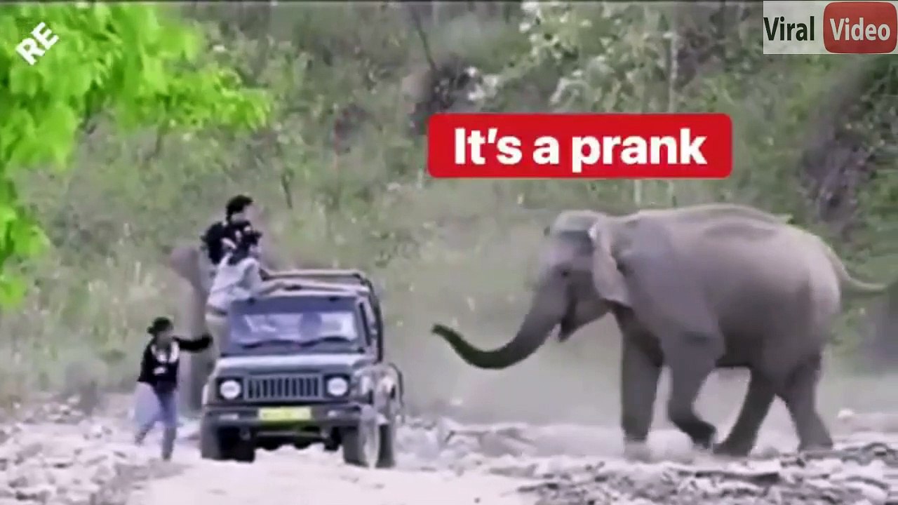 ELEPHANT PRANK