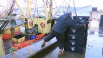 Brexit, scontenti i pescatori britannici