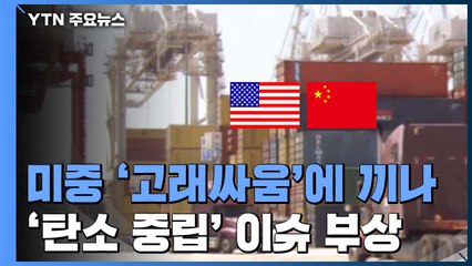 미중 '고래싸움'에 끼나...'탄소 중립' 통상 이슈 부상 유력 / YTN