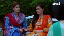 Shehrnaz | Episode 16 | Ayeza Khan | Aly Khan | Sajid Hasan | Pakistani Drama | Urdu1 TV Dramas