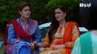Shehrnaz | Episode 16 | Ayeza Khan | Aly Khan | Sajid Hasan | Pakistani Drama | Urdu1 TV Dramas