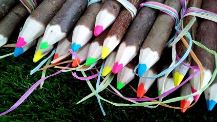 Fallais- l'entreprise de parc et jardin fabrique aussi des Crayons en Saule