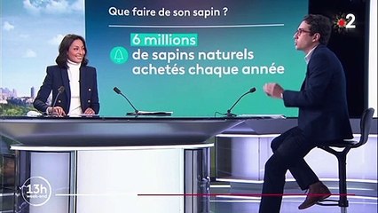 Noël et fêtes de fin d'année : où et comment se débarrasser de son sapin ?