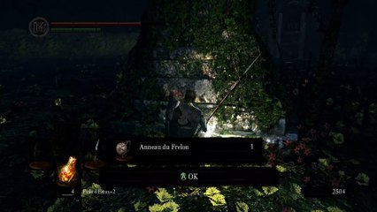 Dark Souls: Soldat Carcasse [5] Hollow Hunter II