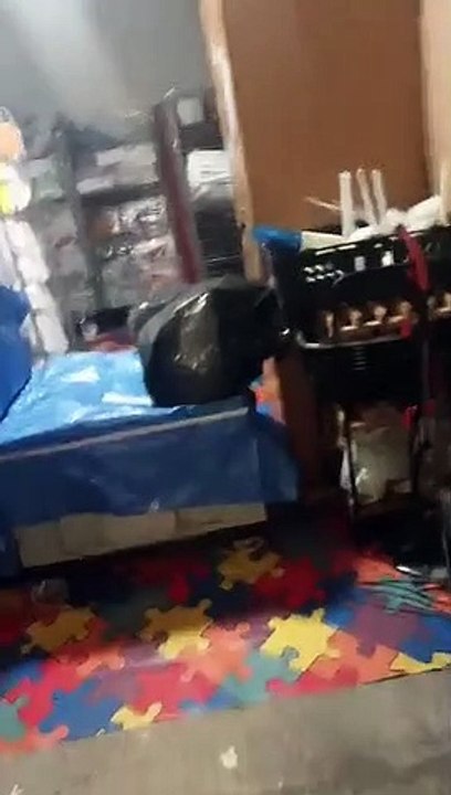 Moving On Project unit is broken into