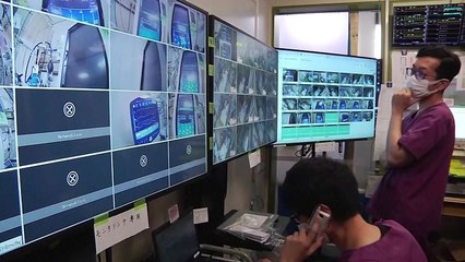 日 도쿄 등 4곳 지사, '긴급사태 발령' 요구 / YTN