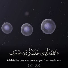 الله الذي خلقكم من ضعف - القارئ أنس الميمان