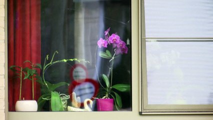 COVID-19: Η μοναξιά των ηλικιωμένων στα γηροκομεία του Βελγίου