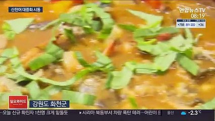 처치 곤란 산천어 가공식품으로 '재탄생'