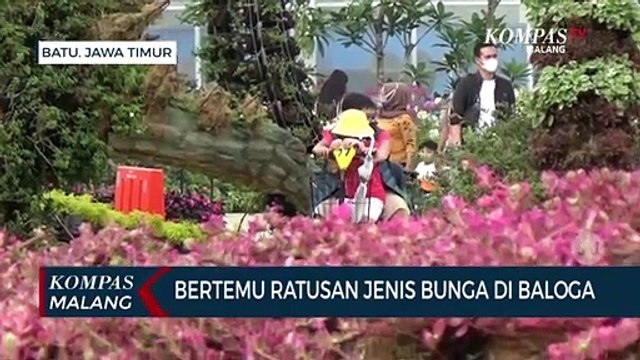 Wisata Bunga di Batu Love Garden