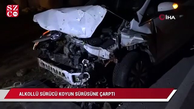 Alkollü sürücü koyun sürüsüne çarptı: 2 kişi yaralandı, 21 koyun telef oldu