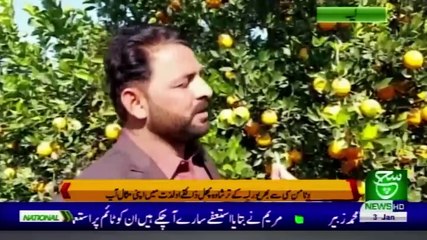 Regional Bulletin 05am 03 January 2021