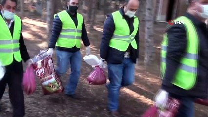 Kısıtlama boyunca sokak hayvanlarına 2,5 ton mama dağıtılacak