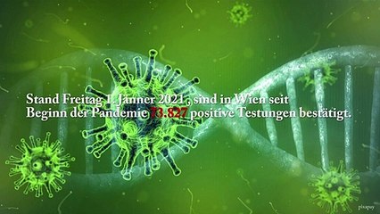 Wien Corona Kennzahlen 3. Jänner 2021