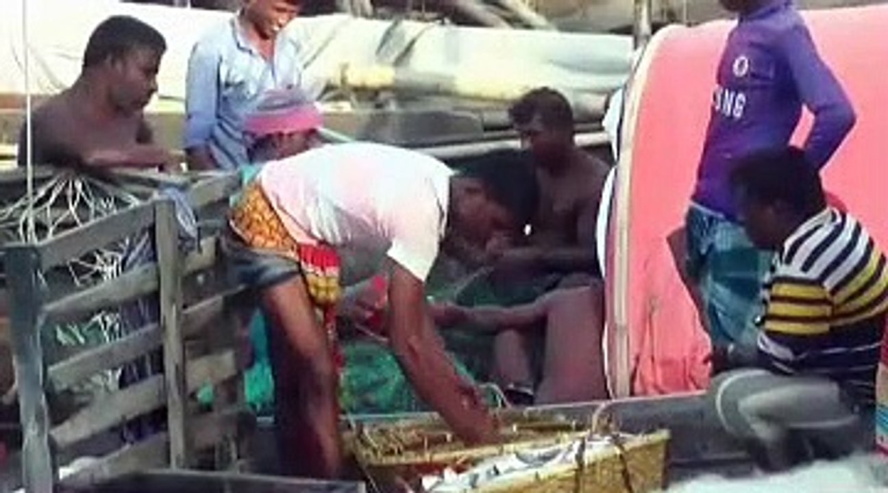 Fishermen Selling Fish After Catching From Sea 4
